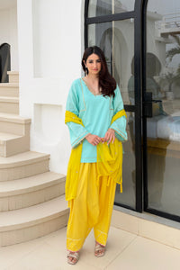 Firoza Farshi Salwar Set - with dupatta