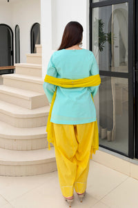 Firoza Farshi Salwar Set - back