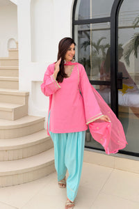 Gulabi Noor Farshi Salwar Set - dupatta and fringe cuffs