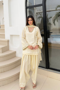 Kaju Katli Farshi Salwar Set - full look