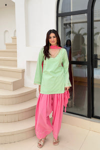 Pista Barfi Farshi Salwar Set - front view